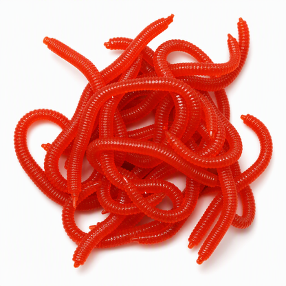 🎣 Save 50%! 🪱 Soft Earthworm Lures – Shrimp scent, 50/100 pack ✨